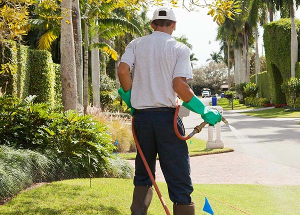 About Mill Creek PA Pest Control